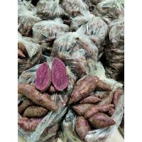 ราคา มันม่วงญี่ปุ่น/มันหวานญี่ปุ่น (5961696127)