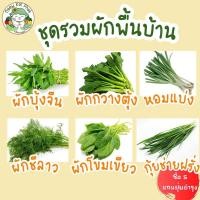 ราคา เมล็ดพันธุ์ ชุดผักพื้นบ้าน ผัก ปลูกง่าย โตไว /ผักบุ้งจีน/ผักกวางตุ้ง/หอมแบ่ง/ผักซีลาว/ผักโขม/กุยช่ายฝรั่ง พร้อมส่ง ขายดี (3392152117)