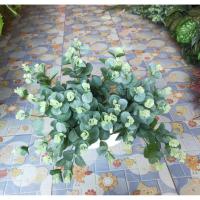 ราคา ใบไม้ปลอม ช่อใบไม้ปลอม ใบไม้ประดิษฐ์ ใบไม้ปลอมตกแต่ง ไม้ปลอม พร็อพถ่ายรูป แต่งบ้าน ดอกไม้ปลอม ดอกไม้ประดิษฐ์ (3342528276)