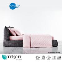 ราคา Omazz ปลอกหมอนข้าง (2ชิ้น) Collection Tencel Smooth รหัส Blossom Pink (12170372784)