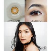 ราคา Kitty Kawaii Venus mini/big -00 -425 -450 brown gray Contactlens บิ๊กอาย คอนแทคเลนส์ ราคาถูd (2787837342)
