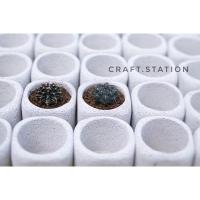 ราคา กระถางอิฐมวลเบา กระถางต้นไม้ กระถางแคคตัส มินิมอล ขนาด 2” (4690236827)