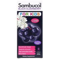 ราคา Sambucol Black Elderberr Syrup For Kids Berry Flavor (7620643084)
