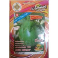 ราคา เมล็ดมะเขือเปราะยักษ์ ซื้อ 1 แถม 1 (2080092140)