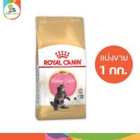 ราคา Royal canin Maine coon Kitten อาหารลูกแมวเมนคูน แบบแบ่งขาย 1 กก. (13394117502)