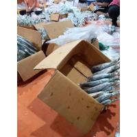 ราคา ปลาทูมัน-ปลาทูหอม (เค็ม) (13319158563)