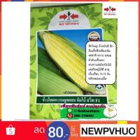 ราคา ข้าวโพดหวาน จัมโบ้ สวีท (1384180566)
