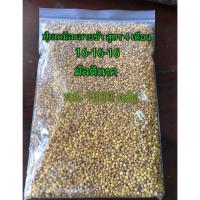ราคา ปุ๋ยเคมีละลายช้า สูตร 4 เดือน 16-16-16 บรรจุ 1 ก.ก. (8858892904)