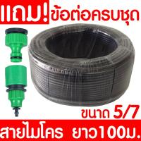 ราคา สายไมโคร 100 เมตร พร้อมข้อต่อครบชุด สายยางสปริงเกอร์ ท่อไมโครพีวีซี สายยางพีวีซี Micro PVC สปริงเกอร์ ขนาด 5/7มม. (6778644235)