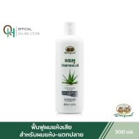 ราคา อภัยภูเบศร แชมพูว่านหางจระเข้ 300 มล. (22159137271)