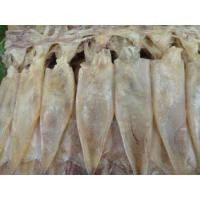 ราคา ปลาหมึกแพไข่ใหญ่ ตากแห้ง 500 กรัม (6078272130)