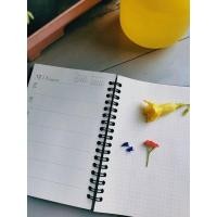 ราคา สมุดบันทึก Muji แบบ weekly (10844577040)