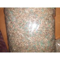 ราคา ขายส่ง เมล็ดหญ้านวลน้อย Manila Grass Temple Grass หญ้าปูสนาม สนามหญ้า หญ้าญี่ปุ่น พืชตระกูลหญ้า เมล็ดพันธ์หญ้า 500 กรัม (8511269791)