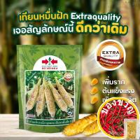 ราคา เมล็ดอวบอ้วน100%เมล็ดข้าวโพดข้าวเหนียว เทียนหมื่นฝัก ปริมาณ200กรัม ตราศรแดง ข้าวโพดเทียน เมล็ดข้าวโพด เมล็ดพันธุ์ข้าวโพด (23327003582)