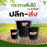 ราคา [COD] [1แพ็ค60ใบ] กระถางต้นไม้พลาสติก กระถางต้นไม้ กระถางปลูกต้นไม้ ขนาด 8นิ้ว 8.5นิ้ว 12 นิ้ว ราคาปลีก/ส่ง (12410356897)