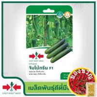 ราคา เมล็ดอวบอ้วน100%,ไทยในสต็อกพร้อมส่งEast-West Seed เมล็ดพันธุ์แตงร้าน (Cucumber seeds) จัมโบ้กรีน F1 เมล็ดพันธุ์ผัก เมล็ด (23324143816)
