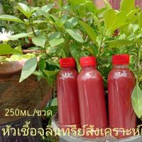 ราคา หัวเชื้อน้ำจุลินทรีย์สังเคราะห์แสง (6735691161)