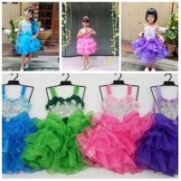 ราคา ชุดแดนเซอร์เด็ก ชุดหางเครื่อง ชุดลีลาศ ชุดกีฬาสี (8800127998)