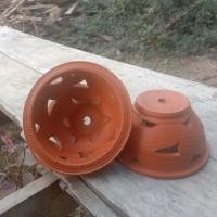 ราคา กระถางกล้วยไม้ทรงเตี้ย8นิ้ว (22742838365)