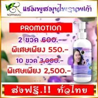 ราคา แชมพูสมุนไพรนพเก้า 2 ขวด และ10 ขวด (19623652498)