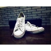 ราคา Converse all star dainty ox white ของแท้ ไซส์ 40.5 (441466032)