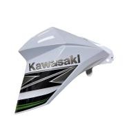 ราคา ชุดสีแฟริ่งข้าง ข้างซ้าย สินค้าแท้มือสอง Kawasaki Z800 (18532047284)