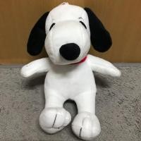 ราคา ตุ๊กตาสนูปปี้ Snoopy (974007919)