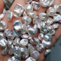 ราคา ไข่มุกแท้ เคชิ มุกkeshi สีและทรงเป็นธรรมชาติ สีขาว สีเงิน เงาสวย ขนาด10*12มิล ยังไม่เจาะรู สามารถทำจิเวลรีDIY (12147758250)