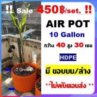 ราคา กระถาง air pot สีส้ม 10 Gallon กระถางแอร์พอต ปลูก420 (air pot) size 40*30 cm (Orange) กระถางต้นไม้ กระถางพลาสติก (7044505471)