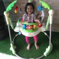 ราคา Jumperoo fisher price (1504038825)