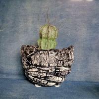 ราคา กระถางเซรามิกส์แฮนด์เมด สีดำปัดลาย #กระถางไม้แคระ #กระถางเซรามิก #กระถางไม้โขด #กระถางแคคตัส (8156455265)