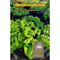 ราคา สูตรผสมเกรดปุ๋ย(เปลือกปูป่น+กระดูกป่น+ปลาป่น)นน.รวม1 กก. (20041413819)