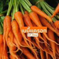 ราคา เมล็ดผัก เบบี้แครอท 100 เมล็ด (8110585611)