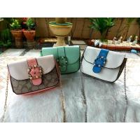 ราคา กระเป๋างานโค้ก สะพาย (9479168721)