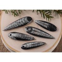 ราคา 1 PC ORTHOCERAS FOSSIL Pendant - Handmade Jewelry, Fossil Pendant, Crystal Pendant, Fossil Jewelry (13299152697)
