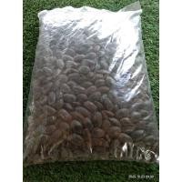 ราคา เมล็ดเหรียง..."เม็ดเล็ก"คัดเม็ดลีบออกแล้ว.. (22220005416)