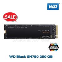 ราคา WD BLACK SN750 250 GB SSD PCIe/NVMe M.2 2280 (WDS250G3X0C) (7136272284)