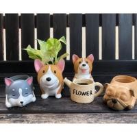 ราคา SALE ต้นไม้ฟอกอากาศพร้อมกระถาง สามารถเลือกต้นไม้เองได้นะคะ ต้นไม้มงคล เหมาะสำหรับไว้ตั้งโต๊ะทำงาน ตั้งภายในบ้าน (4929701371)