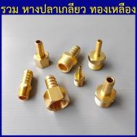 ราคา หางปลาทองเหลือง หางปลาไหลเกลียวนอก หางปลาไหล หางปลาไหลต่อสายยาง (9879228269)