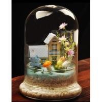 ราคา ครอบแก้ว ฝาครอบกระจก โดมแก้วพร้อมฐาน โหลแก้วแต่สวนสินค้าพร้อมส่ง พร้อมส่ง พร้อมส่ง สั่งไวส่งไว ส่งจากไทย (16736448623)