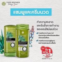 ราคา แชมพู ครีมนวด ตัวท๊อป Yves Rocher BHC Anti Hair Loss ลดหลุดร่วง (14436975040)