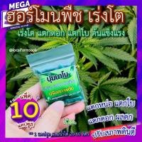 ราคา ฮอร์โมนเร่งโต เร่งดอก 10 แคปซูล ปุ๋ยนาโน เร่งดอก บำรุงใบ บำรุงต้นแข็งแรง กระตุ้นการแตกรากใหม่ ปรับสภาพดินดีมาก (2952944420)