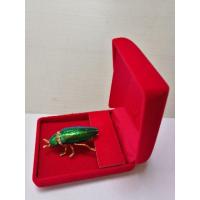 ราคา เข็มกลัดแมลงทับ จากแมลงจริง (299106671)