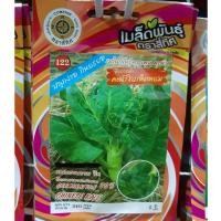 ราคา เมล็ดคะน้า 10 แถม 1 คละได้ คะน้าใบ คะน้าใบเห็ดหอม เมล็ดผัก เมล็ดพันธุ์ (3313584406)