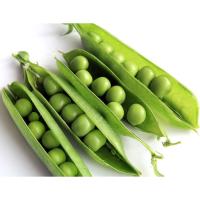 ราคา เมล็ดพันธุ์ ถั่วลันเตาหวานเขียวซอง20เมล็ด59บาท (10671737873)