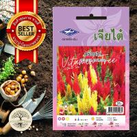 ราคา เมล็ดพันธุ์ ดอกสร้อยไก่ (7855043732)