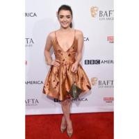 ราคา กระเป๋าคล้องมือสีทองดำ ของ Charles & Keith แท้ (309760504)