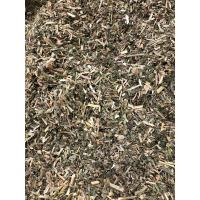 ราคา อัลฟัลฟ่าสับ ALFALFA LUCERNE CHAFF (6876845404)