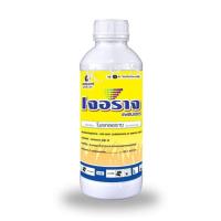 ราคา ยากำจัดเชื้อรา แอนแทรคโนส กุ้งแห้งพริก เจอราจ ขนาด500 cc. และ100 cc. (7034379646)