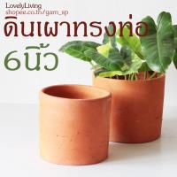 ราคา กระถางดินเผาทรงท่อเรียบ 6 นิ้ว กระถางดินเผา 6 นิ้ว กระถางดินเผาหกนิ้ว ดินเผาหกนิ้ว ดินเผา6นิ้ว Terracotta Pot (12406508546)